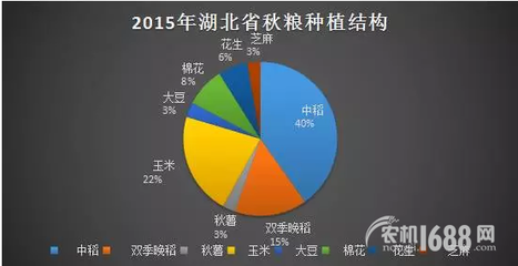 夏糧豐收后，秋糧種植新選擇 薯類(lèi)作物的市場(chǎng)機(jī)遇與銷(xiāo)售策略