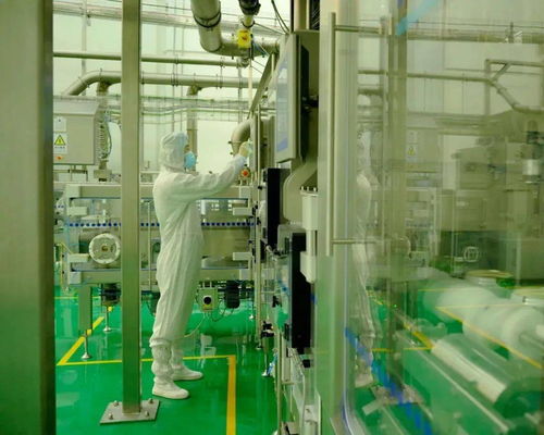 從肩扛奶粉到數(shù)字人 中國(guó)草根創(chuàng)業(yè)者的技術(shù)轉(zhuǎn)型之路